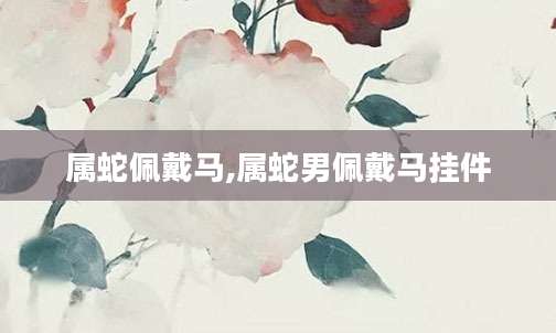 属蛇佩戴马,属蛇男佩戴马挂件
