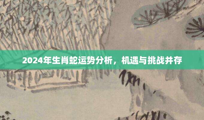 2024年生肖蛇运势分析，机遇与挑战并存