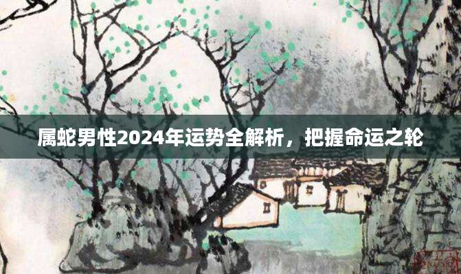 属蛇男性2024年运势全解析，把握命运之轮