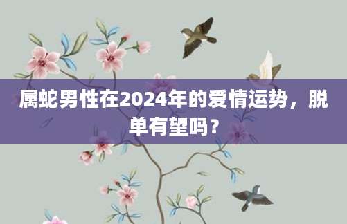 属蛇男性在2024年的爱情运势，脱单有望吗？