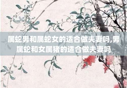 属蛇男和属蛇女的适合做夫妻吗,男属蛇和女属猪的适合做夫妻吗