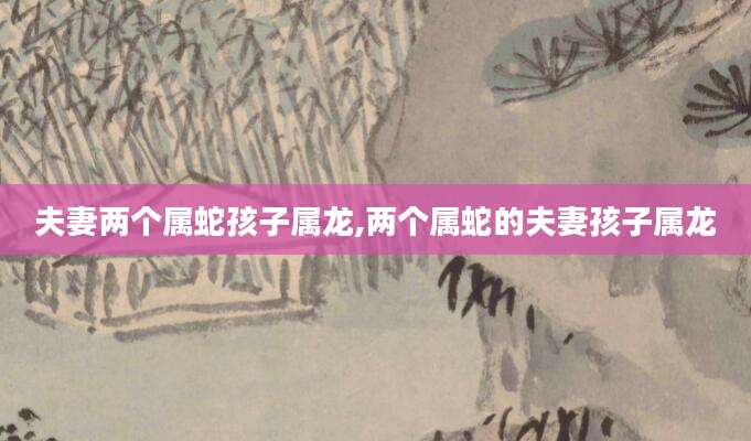 夫妻两个属蛇孩子属龙,两个属蛇的夫妻孩子属龙