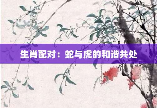 生肖配对：蛇与虎的和谐共处