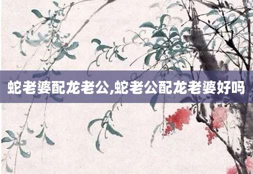 蛇老婆配龙老公,蛇老公配龙老婆好吗