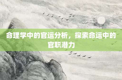 命理学中的官运分析，探索命运中的官职潜力