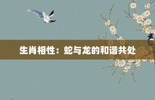 生肖相性：蛇与龙的和谐共处
