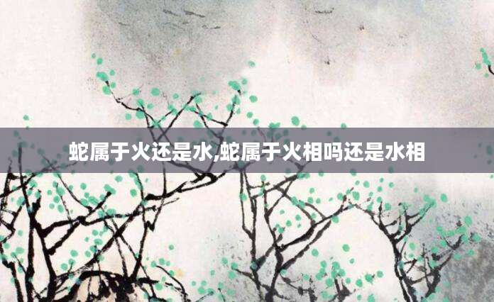 蛇属于火还是水,蛇属于火相吗还是水相