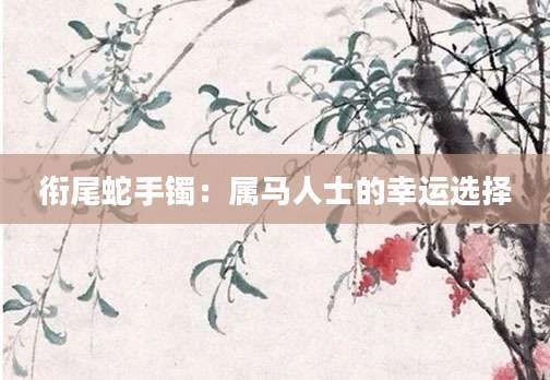 衔尾蛇手镯：属马人士的幸运选择