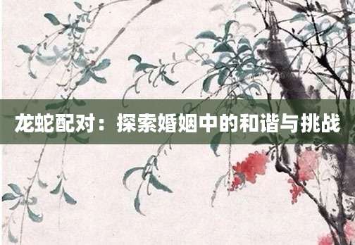 龙蛇配对：探索婚姻中的和谐与挑战