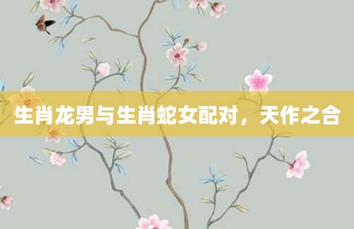 生肖龙男与生肖蛇女配对，天作之合