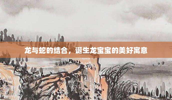 龙与蛇的结合，诞生龙宝宝的美好寓意