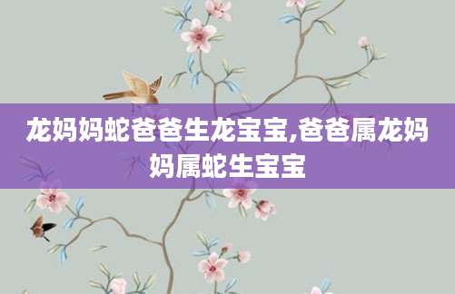 龙妈妈蛇爸爸生龙宝宝,爸爸属龙妈妈属蛇生宝宝