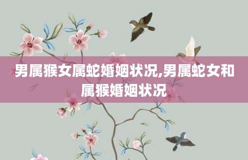 男属猴女属蛇婚姻状况,男属蛇女和属猴婚姻状况