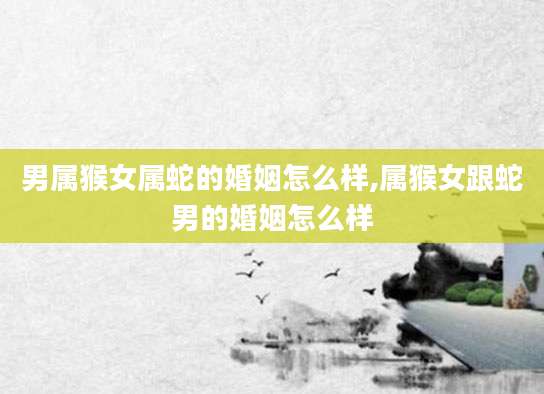 男属猴女属蛇的婚姻怎么样,属猴女跟蛇男的婚姻怎么样