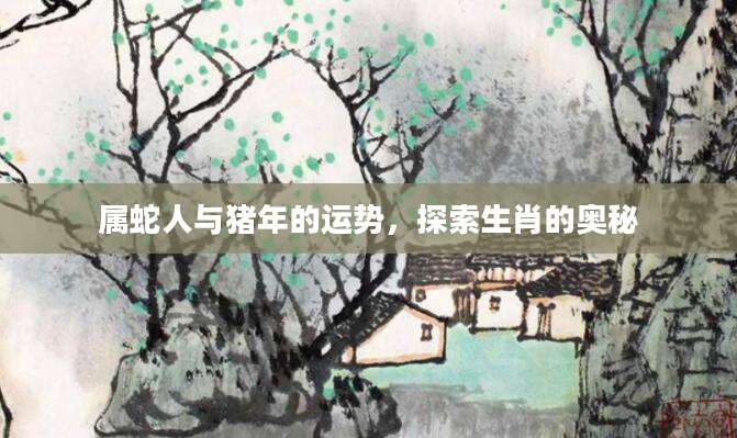 属蛇人与猪年的运势，探索生肖的奥秘