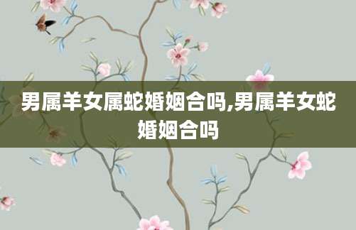 男属羊女属蛇婚姻合吗,男属羊女蛇婚姻合吗