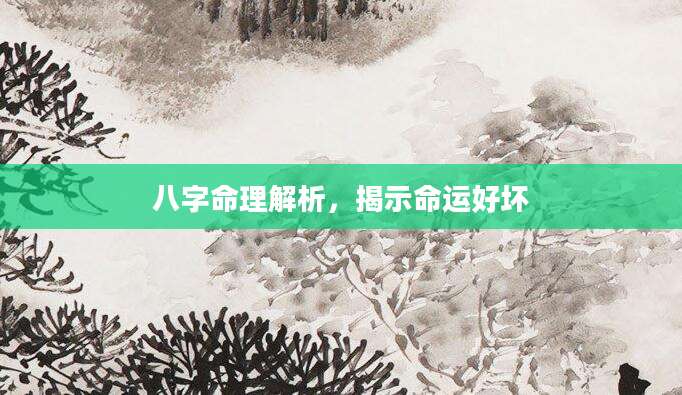 八字命理解析，揭示命运好坏