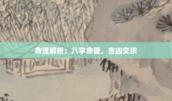 命理解析：八字命硬，吉凶交织