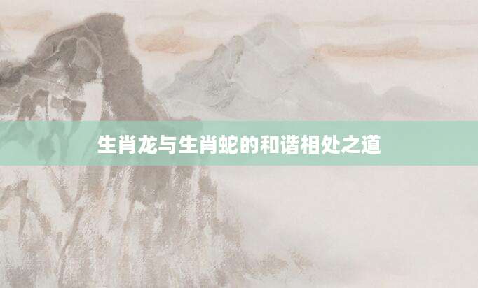 生肖龙与生肖蛇的和谐相处之道