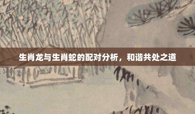 生肖龙与生肖蛇的配对分析，和谐共处之道