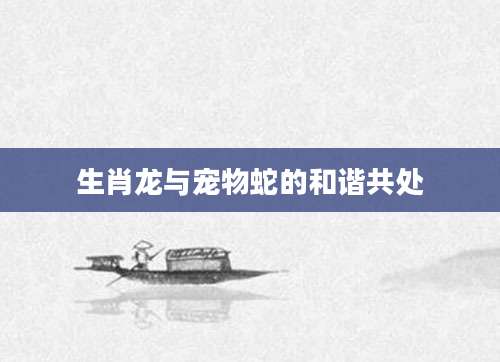 生肖龙与宠物蛇的和谐共处