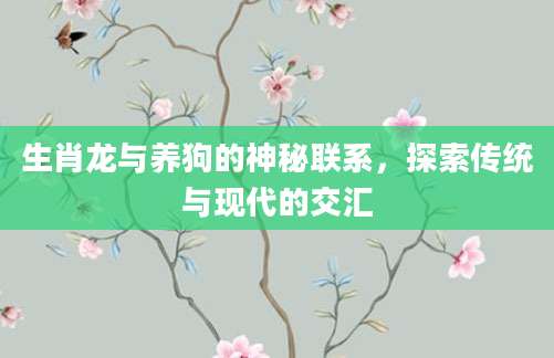 生肖龙与养狗的神秘联系，探索传统与现代的交汇