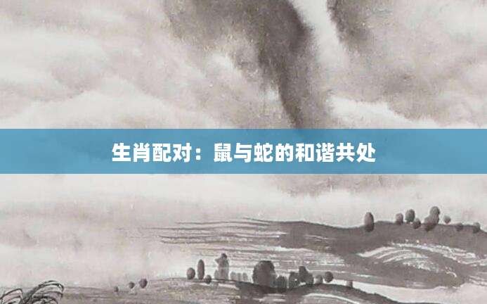 生肖配对：鼠与蛇的和谐共处