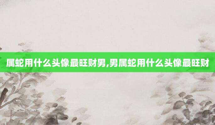 属蛇用什么头像最旺财男,男属蛇用什么头像最旺财