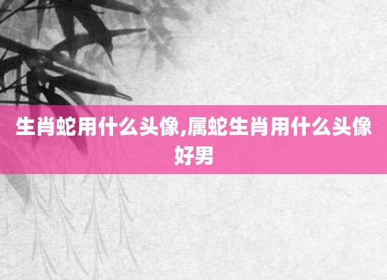 生肖蛇用什么头像,属蛇生肖用什么头像好男