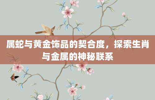 属蛇与黄金饰品的契合度，探索生肖与金属的神秘联系