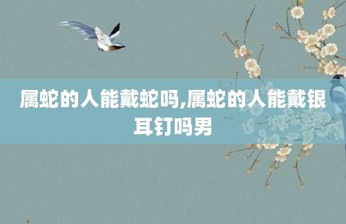 属蛇的人能戴蛇吗,属蛇的人能戴银耳钉吗男