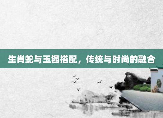 生肖蛇与玉镯搭配，传统与时尚的融合
