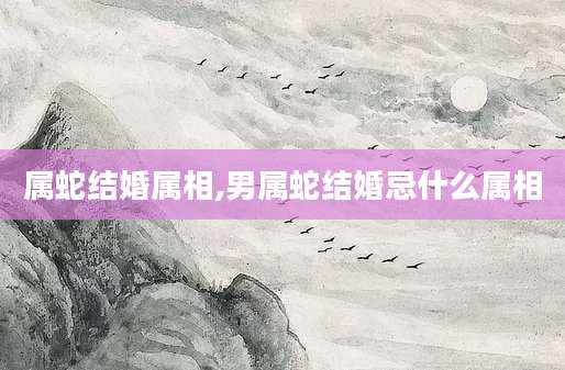 属蛇结婚属相,男属蛇结婚忌什么属相