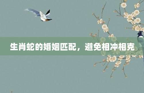 生肖蛇的婚姻匹配，避免相冲相克