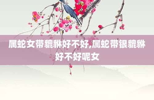 属蛇女带貔貅好不好,属蛇带银貔貅好不好呢女