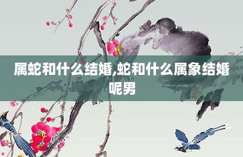 属蛇和什么结婚,蛇和什么属象结婚呢男