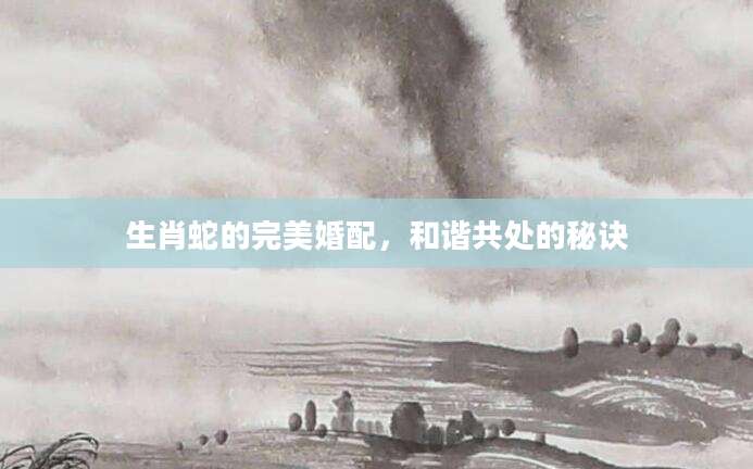 生肖蛇的完美婚配，和谐共处的秘诀