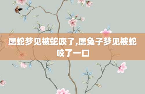 属蛇梦见被蛇咬了,属兔子梦见被蛇咬了一口