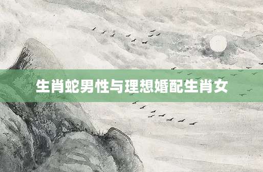生肖蛇男性与理想婚配生肖女