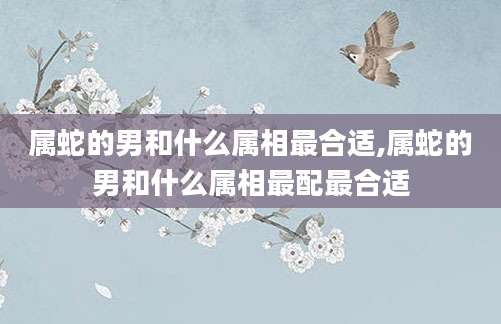 属蛇的男和什么属相最合适,属蛇的男和什么属相最配最合适