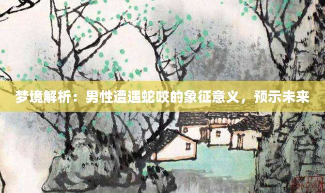 梦境解析：男性遭遇蛇咬的象征意义，预示未来