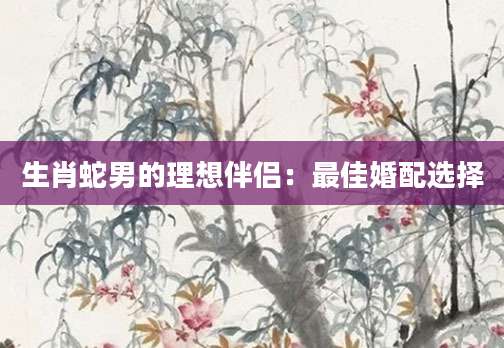 生肖蛇男的理想伴侣：最佳婚配选择