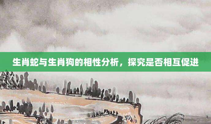 生肖蛇与生肖狗的相性分析，探究是否相互促进