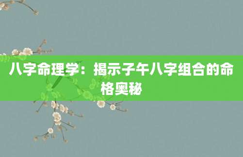 八字命理学：揭示子午八字组合的命格奥秘