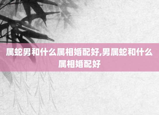 属蛇男和什么属相婚配好,男属蛇和什么属相婚配好