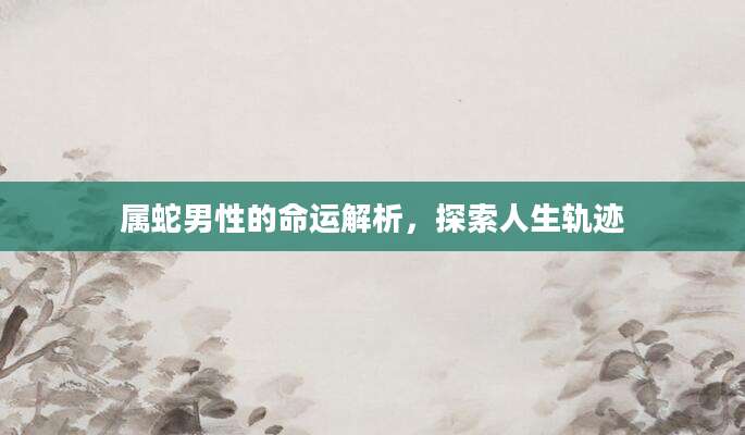 属蛇男性的命运解析，探索人生轨迹