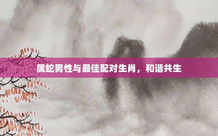 属蛇男性与最佳配对生肖，和谐共生