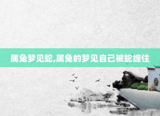 属兔梦见蛇,属兔的梦见自己被蛇缠住