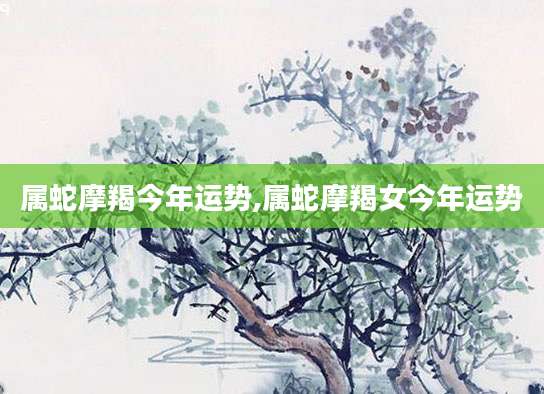 属蛇摩羯今年运势,属蛇摩羯女今年运势