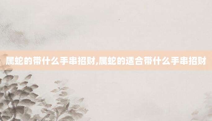 属蛇的带什么手串招财,属蛇的适合带什么手串招财